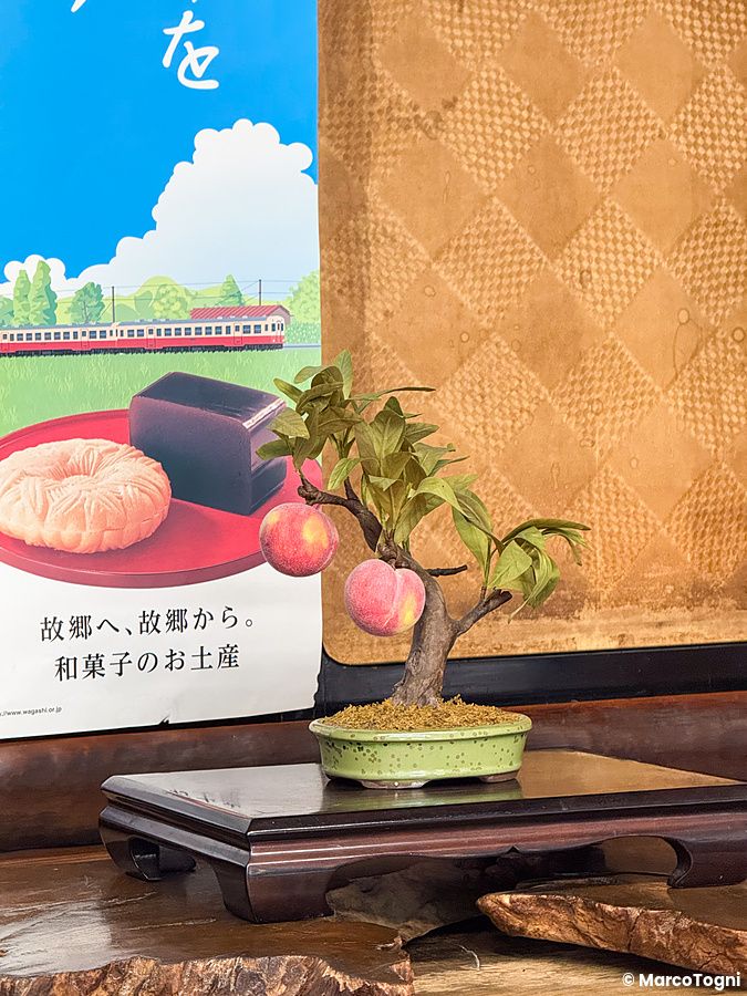 Un bonsai pesco giappone posato su un tavolino in legno accanto a un poster promozionale con un treno in Giappone.