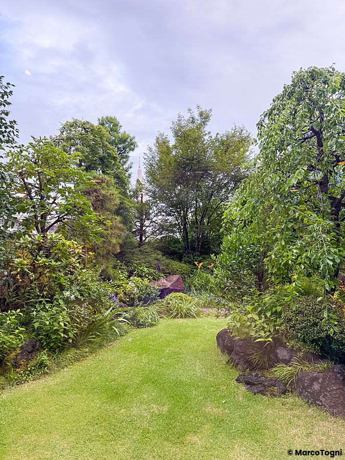 Veduta del giardino in terrazza, visibile dall'interno a Green Italian Torcia, con prato verde e alberi a Shinjuku.