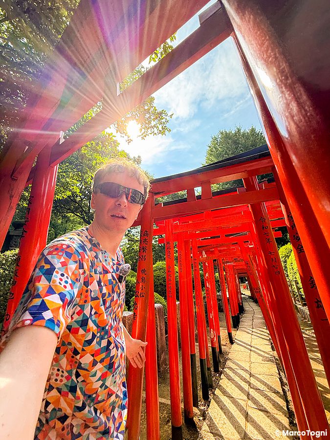 Un uomo in maglietta colorata si scatta un selfie tra i torii rossi del santuario Nezu a Tokyo.