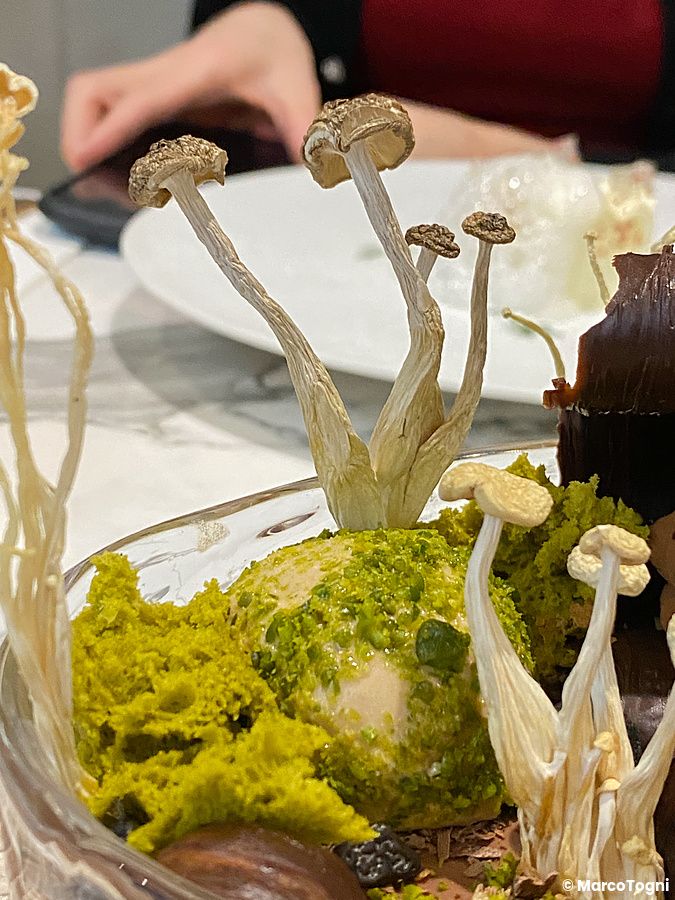 Un dolce con funghi decorativi e granella di pistacchio servito presso la pasticceria Le Musée nel quartiere di Ginza.