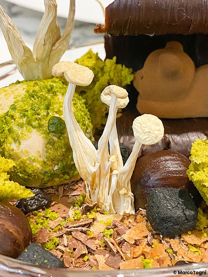 Un raffinato dolce con funghi a Le Musée, pasticceria d'alto livello a Ginza, presentato con elementi di cioccolato.