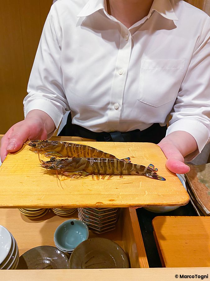 Una persona mostra due gamberi Kuruma ebi freschi posati su un tagliere di legno da Ginza Iwa a Tokyo.