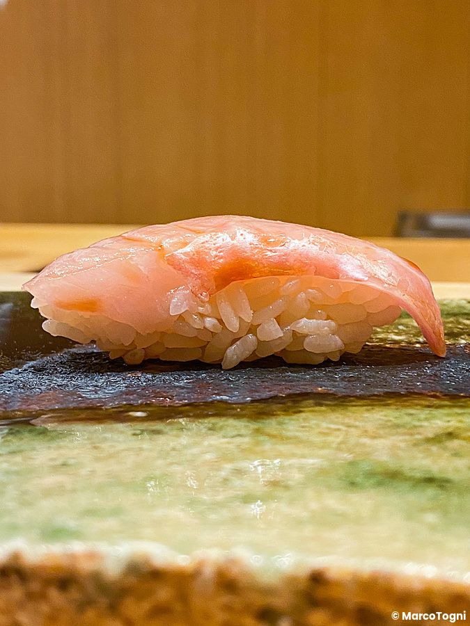 Un Nigiri di ricciola posato su un piatto in ceramica presso il ristorante di sushi Ginza Iwa a Tokyo.
