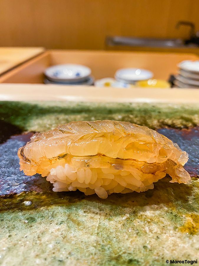 Un nigiri di shiro ebi finemente preparato posato su un piatto artigianale all'interno del ristorante Ginza Iwa a Tokyo.