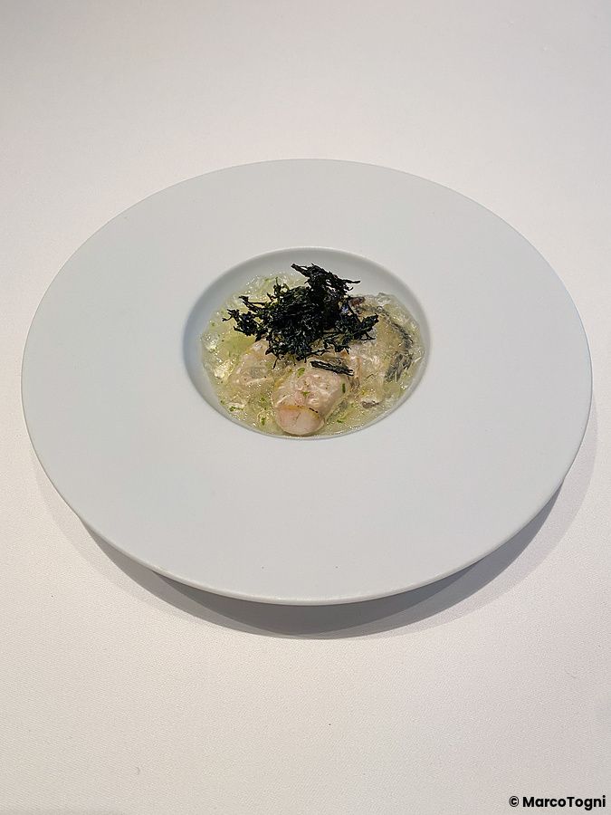 Ostriche crude giapponesi con gelatina al limone e lime, crema e alghe croccanti servite al ristorante Koji Shimomura.