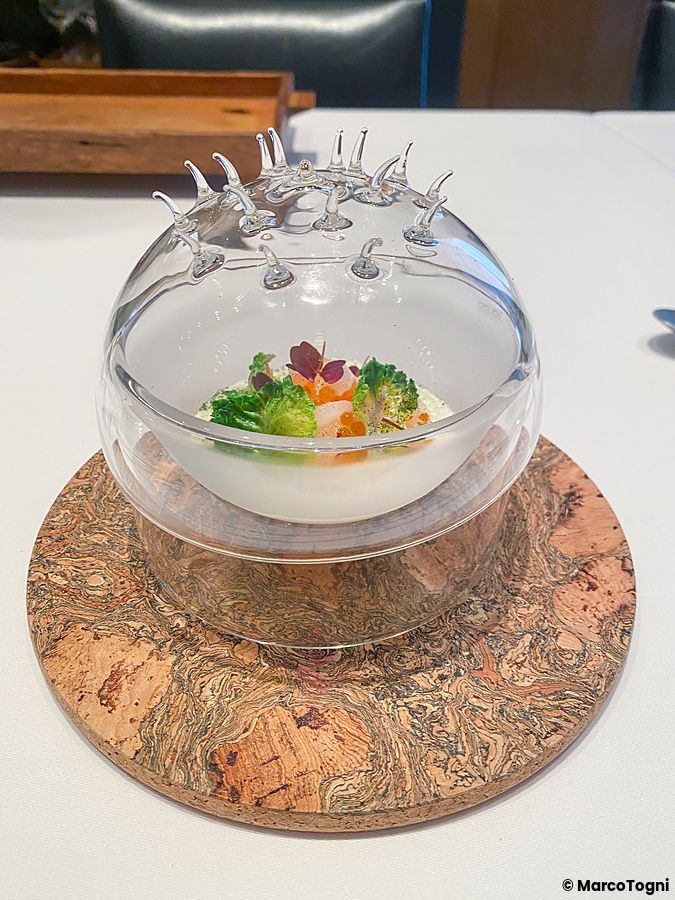 Un piatto freddo con gambero, seppia, ikura, crema di cavolfiori e asparagi servito nel ristorante Edition Koji Shimomura.