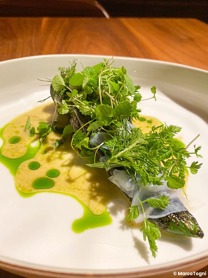Peperone verde manganji grigliato con seppia, erbe fresche e salsa al curry verde servito al ristorante Le Sputnik.