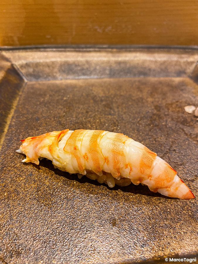 Un nigiri di kuruma ebi poggiato su un piatto quadrato di ceramica scura da Sushi Takeuchi a Tokyo.