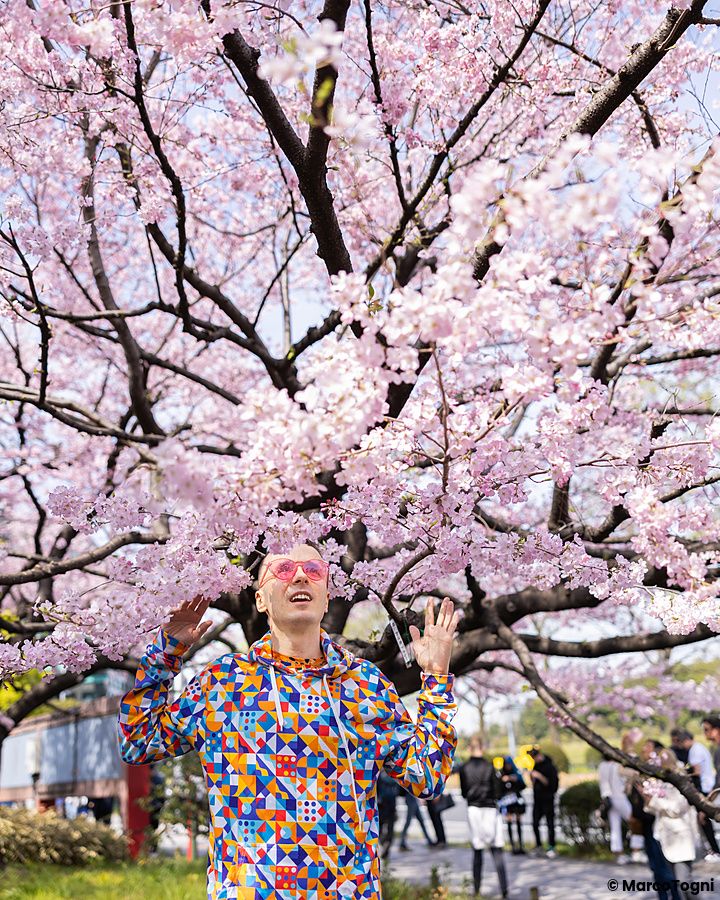 Marco Togni con felpa colorata e occhiali rosa posa sotto un ciliegio in fiore in un parco a Tokyo.