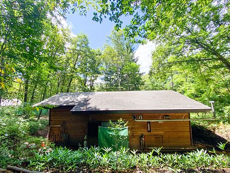 casetta in campeggio a Kusatsu Onsen circondata da alberi verdi.