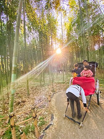 Risciò con famiglia in una foresta di bambù a Kyoto durante il giorno.