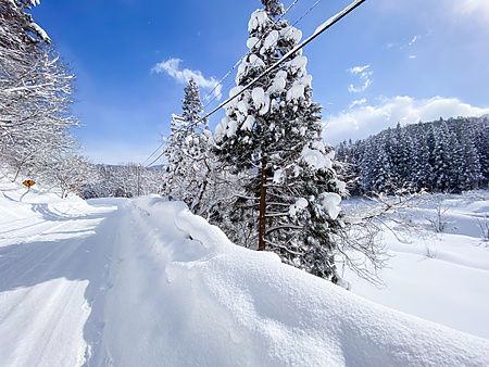 Strada innevata tra alberi coperti di neve a Nishimeya (Aomori).