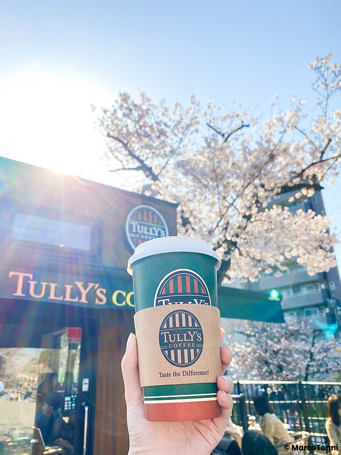 caffè di Tully's in mano con sakura fioriti ad Asakusa.