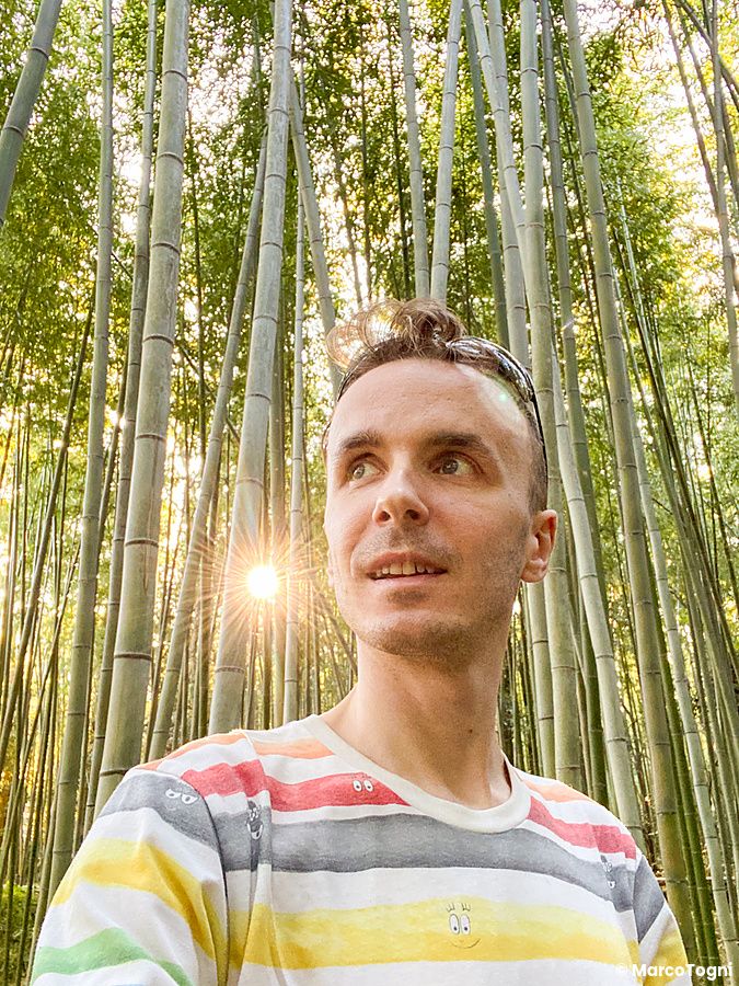 Marco Togni nella foresta di bambù a Kyoto con il sole tra gli alberi.