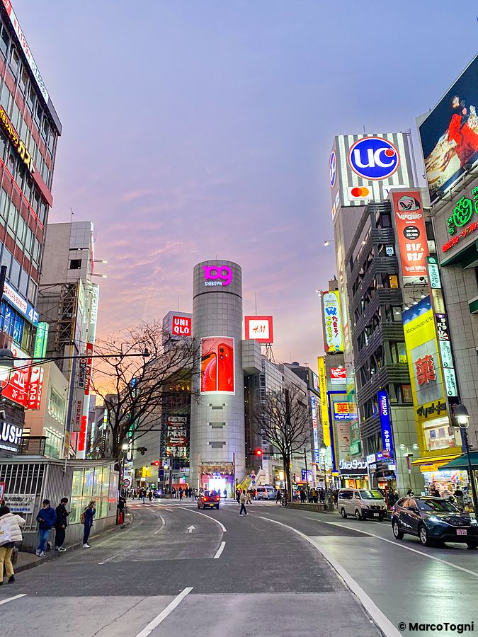 Strada di Shibuya a Tokyo con luci neon e cielo al tramonto.