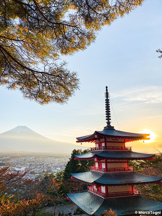 Monte Fuji e Pagoda Chureito al tramonto, con alberi in primo piano.