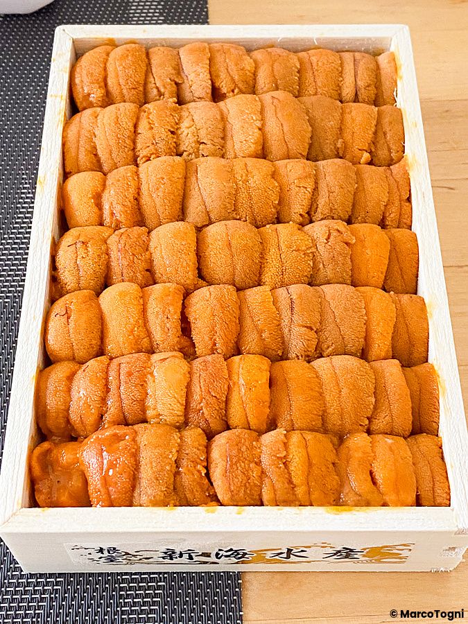 Una scatola di legno rettangolare riempita con file ordinate di riccio di mare crudo dell'Hokkaido.