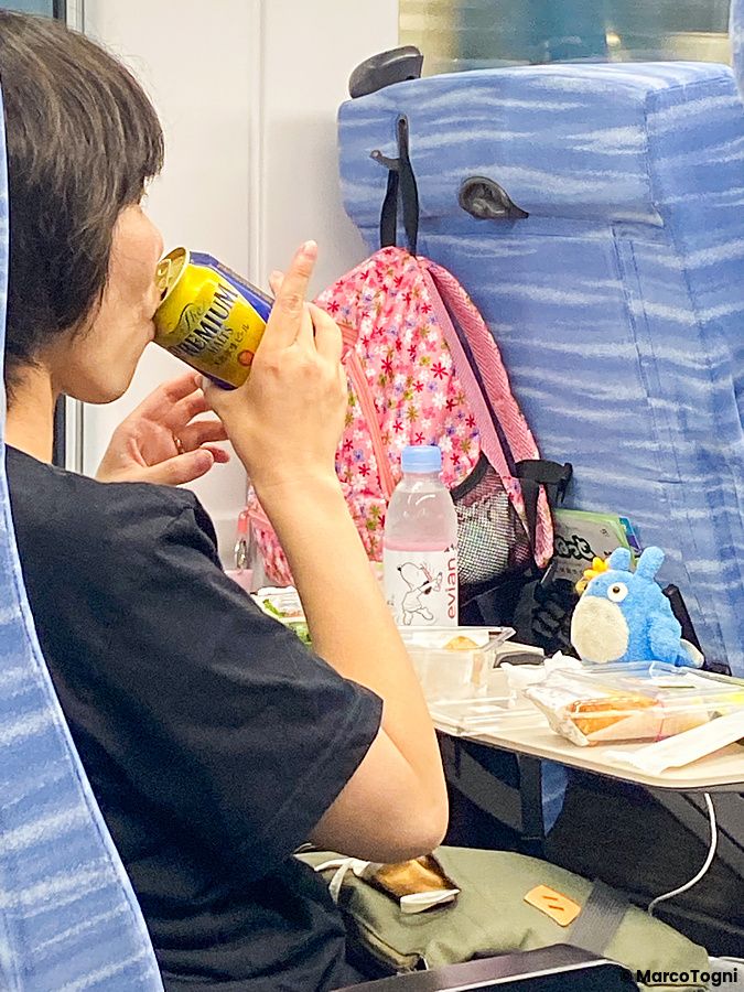 Una persona siede su un treno bevendo una lattina di birra su un tavolino con una bottiglia d'acqua e un peluche azzurro.
