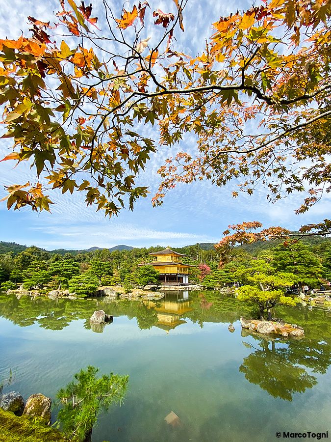 Tempio d'Oro con riflessi nel laghetto e foglie autunnali.