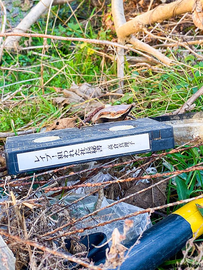 Videocassetta per adulti abbandonata tra rami e erba.