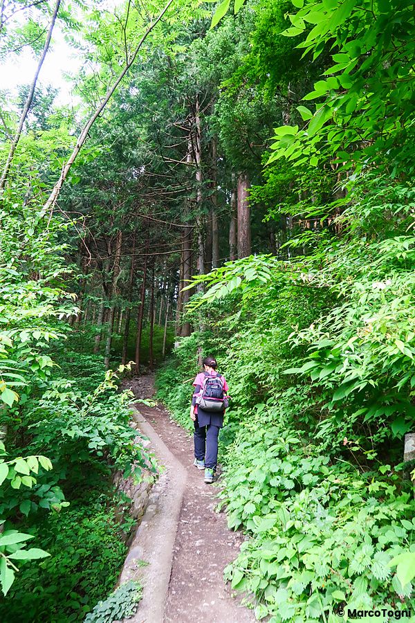 Una persona con zaino cammina su un sentiero boschivo a Naguri (Città di Hanno), Prefettura di Saitama, Giappone.