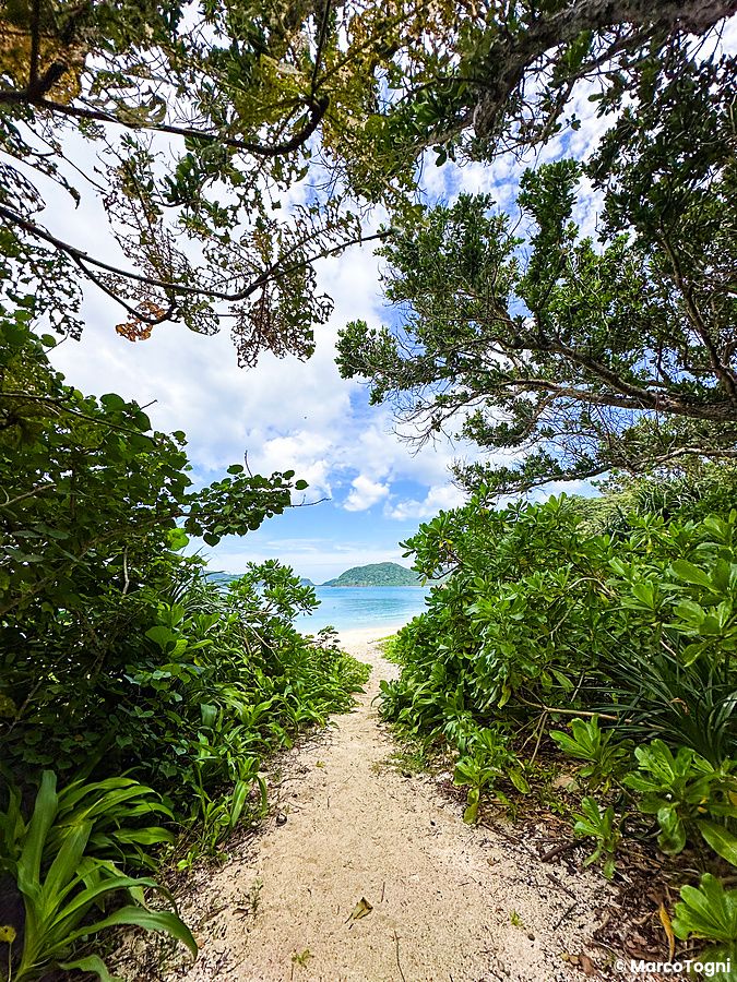 Un sentiero sabbioso tra la fitta vegetazione porta verso la spiaggia di Ida sull'isola di Iriomote a Okinawa.