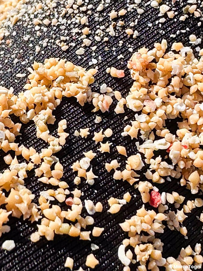 Dettaglio ravvicinato di sabbia a forma di stelline a spiaggia Hoshizuma disposta su una superficie nera striata.