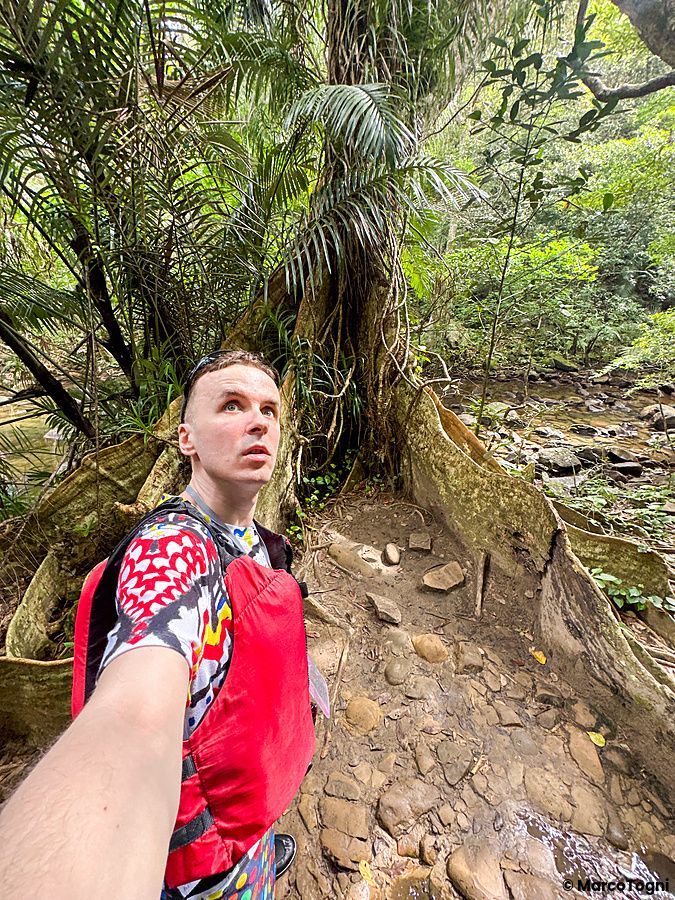 Marco Togni in abbigliamento da trekking a Okinawa scatta un selfie davanti a un grande albero nella giungla.