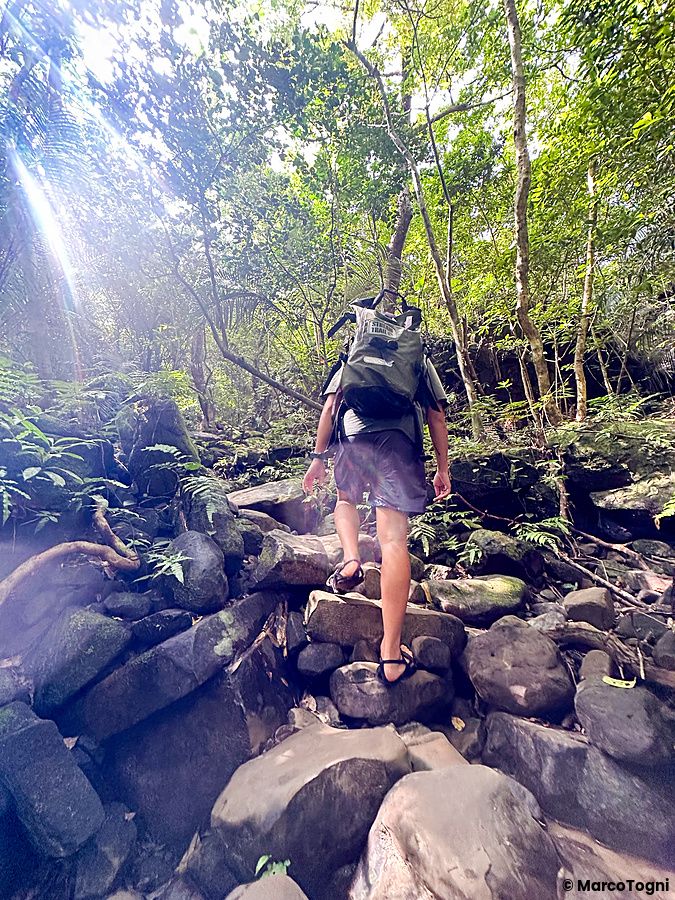 Un uomo con zaino affronta un sentiero roccioso tra la folta vegetazione durante un trekking a Okinawa.