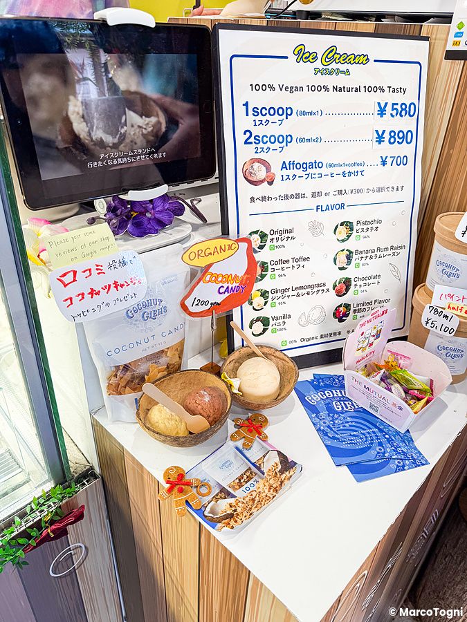 Bancone di Coconut Glens con gelati in gusci di cocco, menu dei gusti e prodotti confezionati in esposizione.