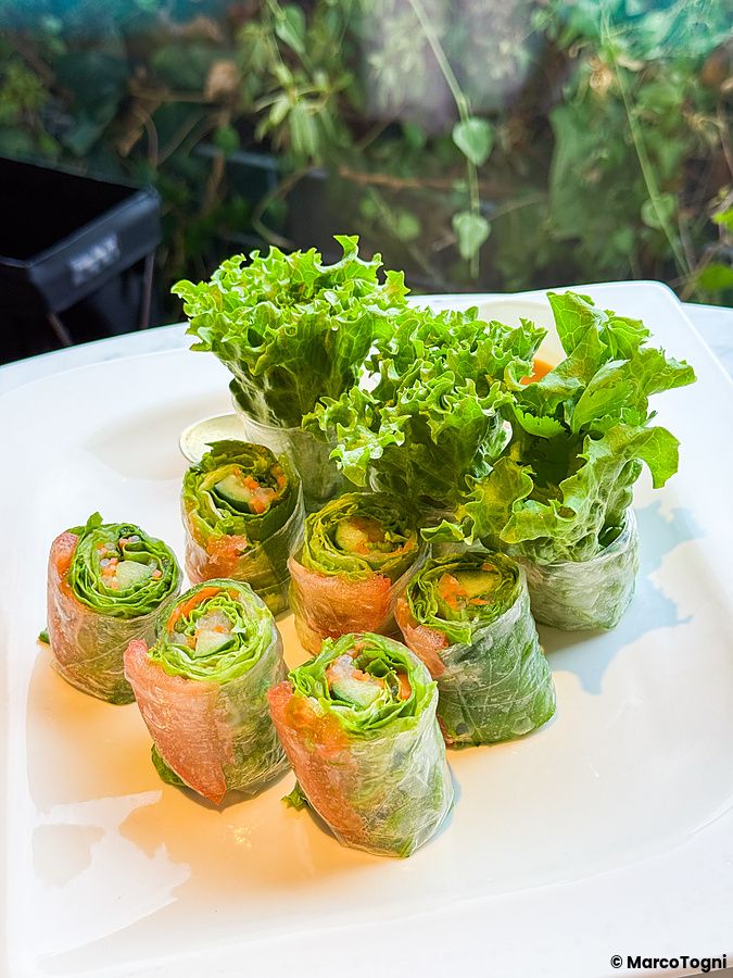 Un piatto quadrato bianco con involtini di verdure vegani freschi presso il ristorante Lotus Palace di Fukuoka.