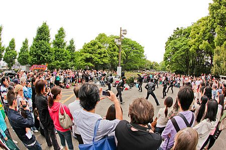 Esibizione di rockabilly al Parco Yoyogi, Tokyo, con spettatori intorno.