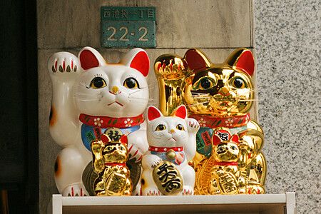 Diversi esemplari di maneki neko, alcuni bianchi e altri dorati, sono esposti su un ripiano in una vetrina in Giappone.
