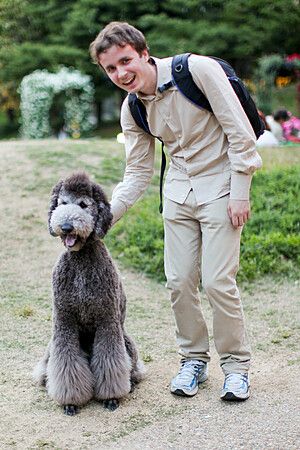 Marco Togni accarezza un cane nel parco Utsubo a Osaka.