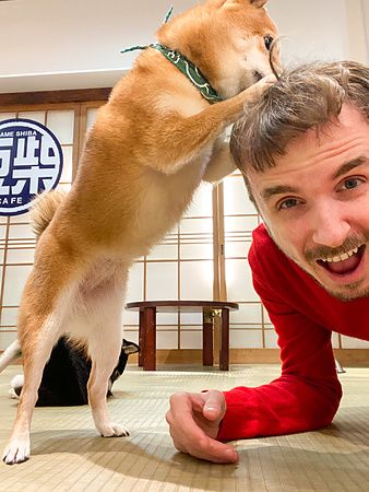 Marco Togni che gioca con un cane mameshiba su un tatami al Mameshiba cafe di Kyoto.