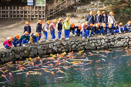 Bambini osservano carpe koi in un laghetto nel giardino Ritsurin di Takamatsu.