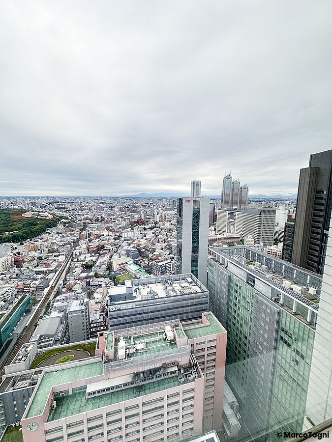 Vista dall'alto della città di Tokyo con grattacieli dall'Hotel Century Southern Tower.
