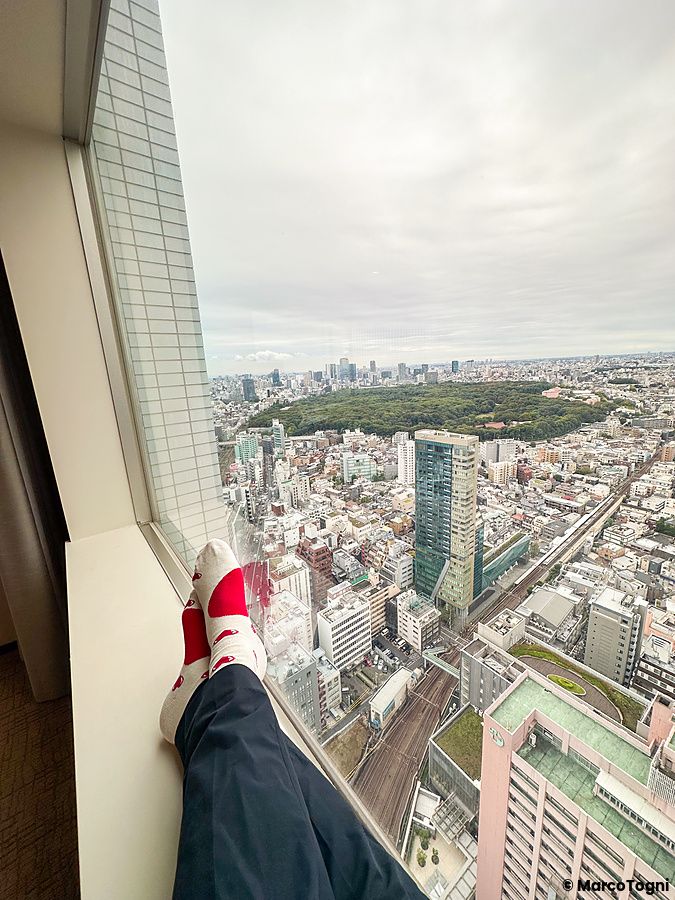 Vista di Tokyo dall'interno dell'Hotel Century Southern Tower con una persona su un davanzale.