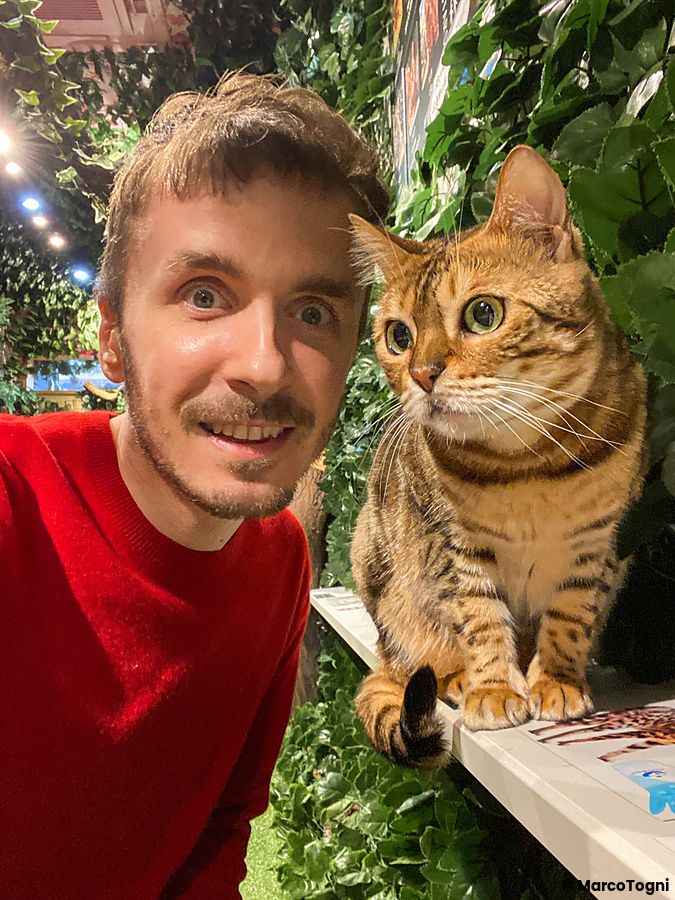 Marco Togni con un gatto del Bengala tra le piante al Bengal Cat and Owl Forest.