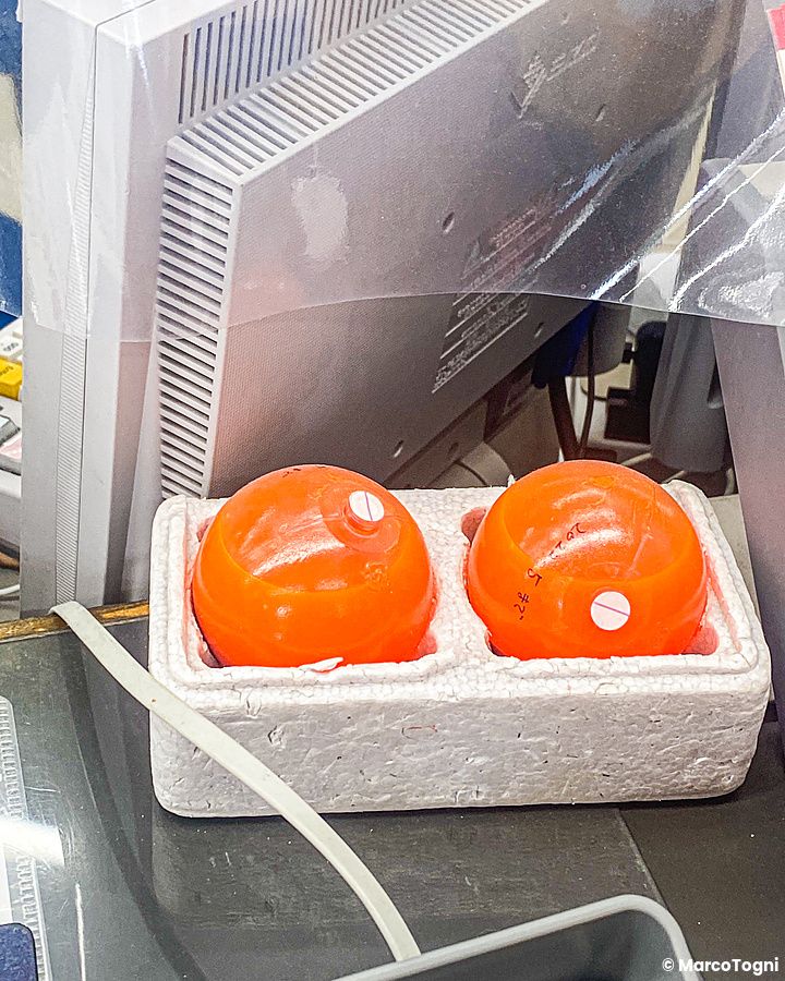 Due palle arancioni anti-crime su un tavolo vicino a un monitor.