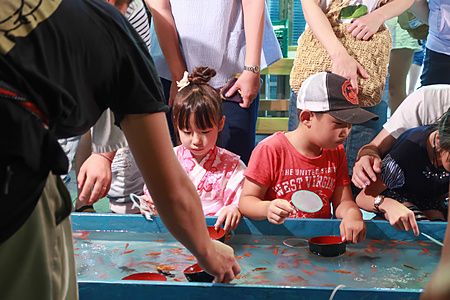 bambini giocano a pescare pesci rossi durante un matsuri in Giappone.