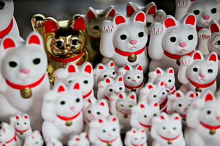 Statua di maneki neko bianchi e dorato al Tempio Gotokuji di Tokyo.