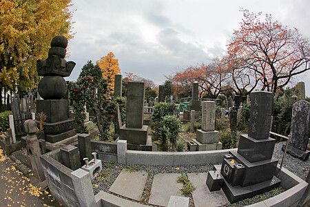 Veduta panoramica del cimitero Yanaka a Tokyo con lapidi in pietra e alberi autunnali sotto un cielo nuvoloso.