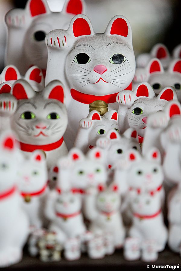Numerose statuette bianche di maneki neko con dettagli rossi disposte in primo piano presso il Tempio Gotokuji.