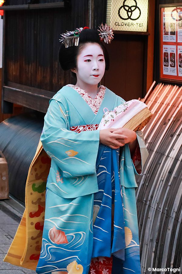Una giovane maiko in kimono blu cammina a Kyoto.