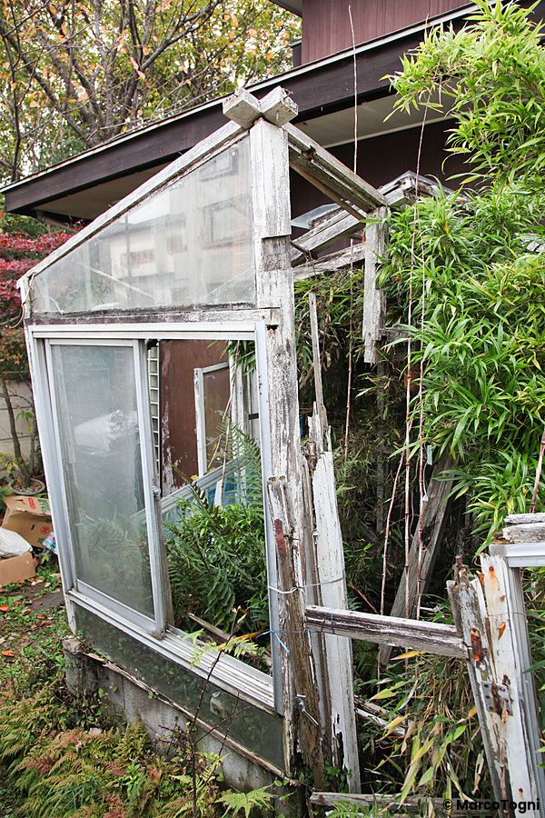 Serra abbandonata invasa dalla vegetazione a Sengawa, Tokyo.