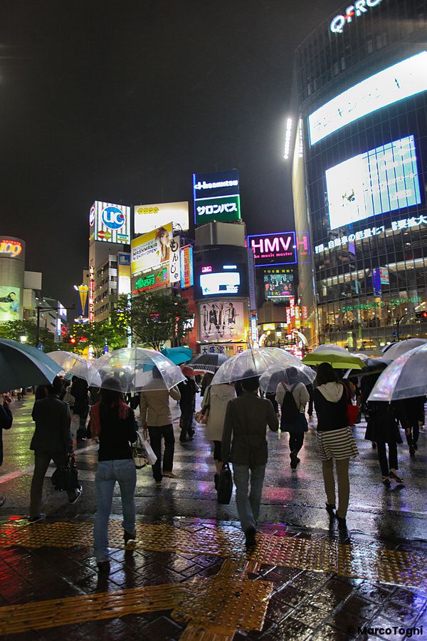 Persone sotto ombrelli attraversano Shibuya con la pioggia a Tokyo di notte.