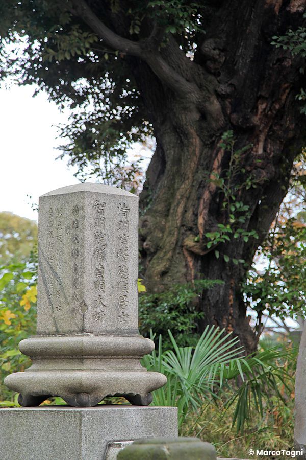 Pietra commemorativa con incisioni a Yanaka, Tokyo, circondata da natura