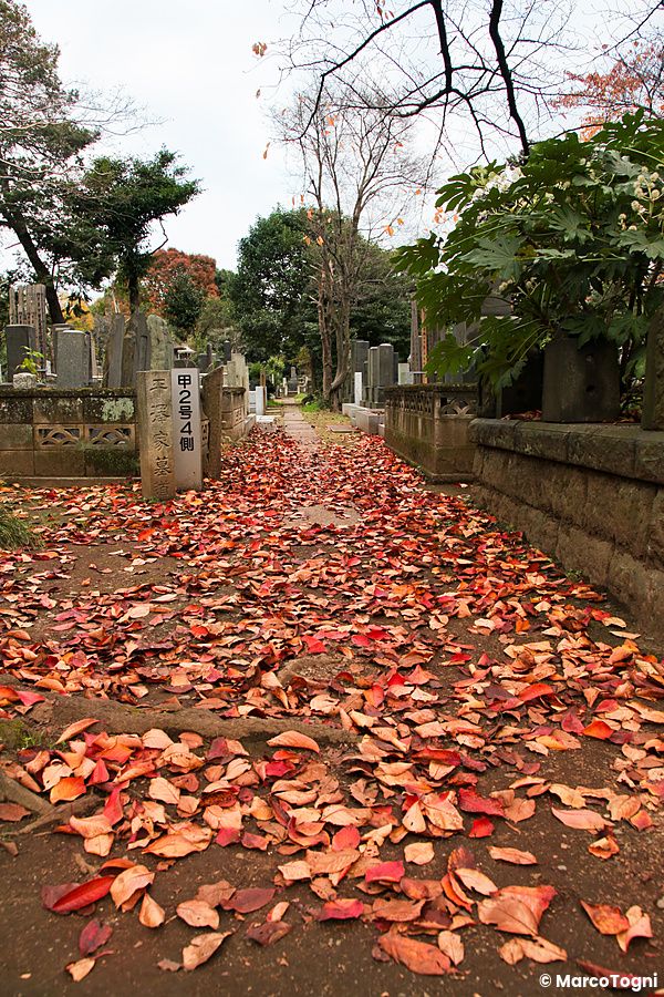 Un sentiero coperto di foglie autunnali tra le lapidi nel cimitero di Yanaka a Tokyo.
