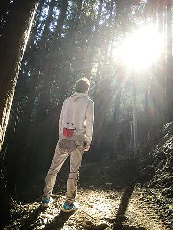 Un individuo su un sentiero montano con il sole che filtra tra gli alberi.
